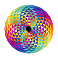 Orgone Academy Lifetime Enrollment